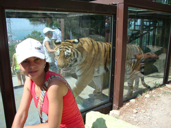 Наталья Кокарева