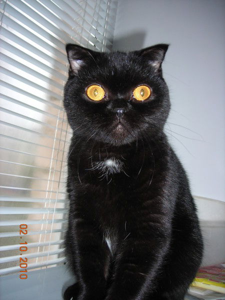 Елена Суфиярова