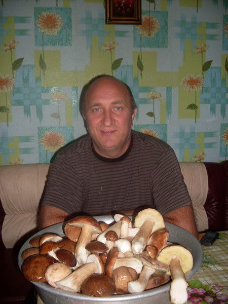 Сергей Корниенко