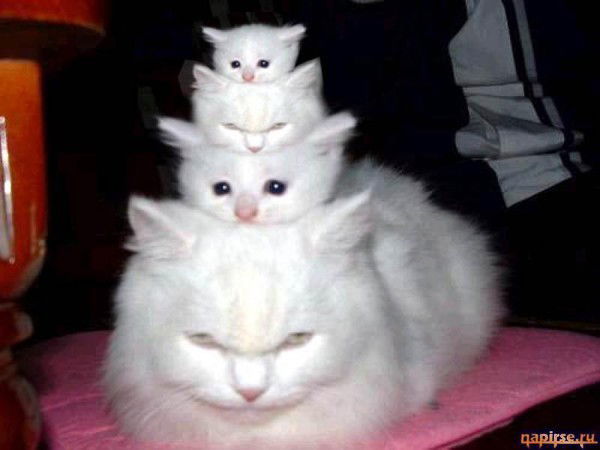 Людмила Серебрякова