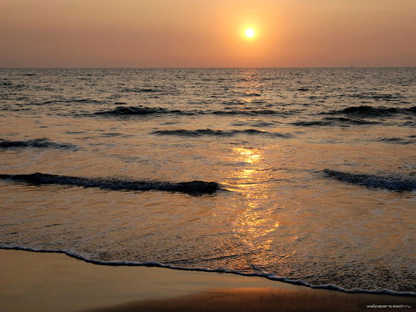 Ольга Полохина