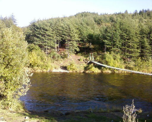 Сергей Железцов