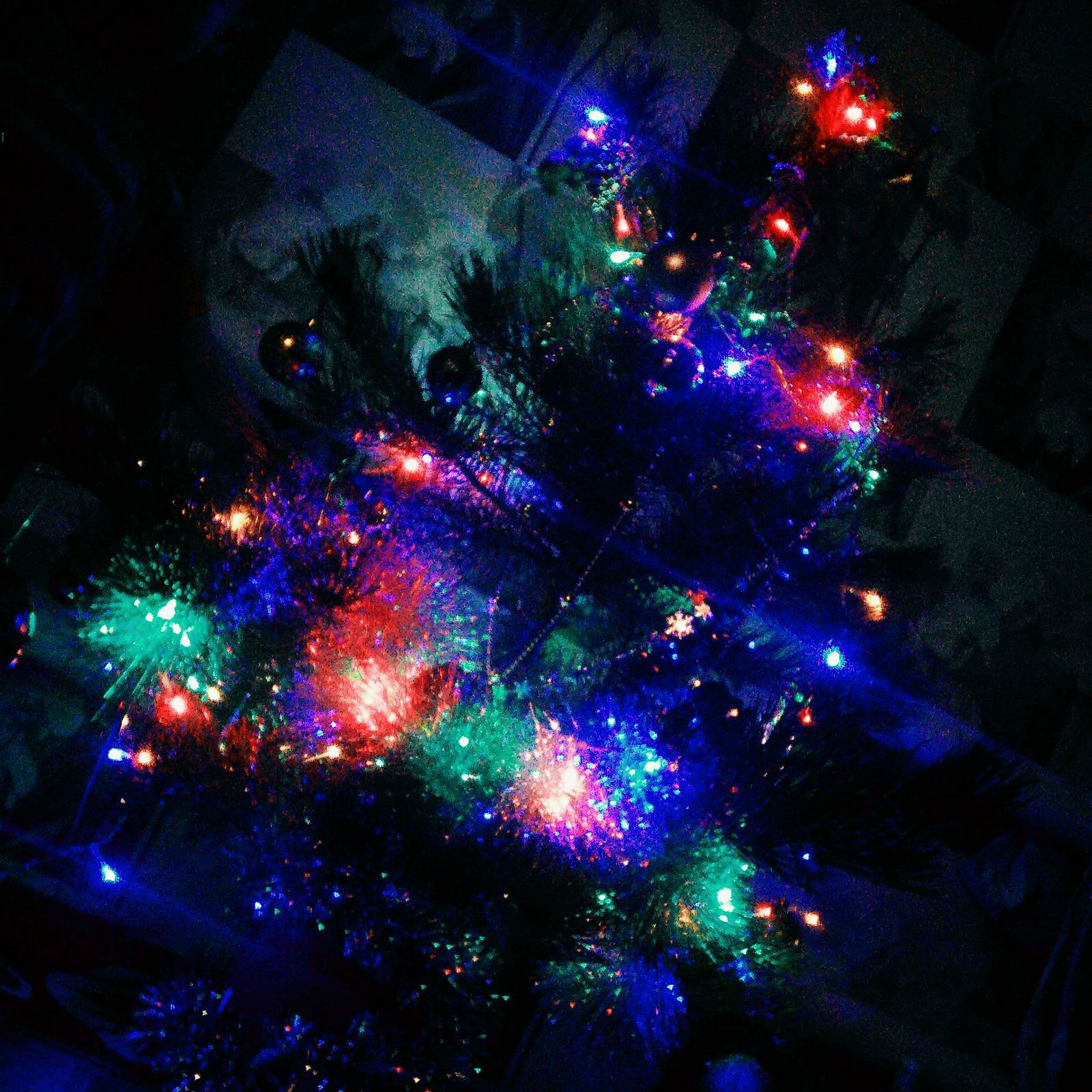 Анжелика Банкет