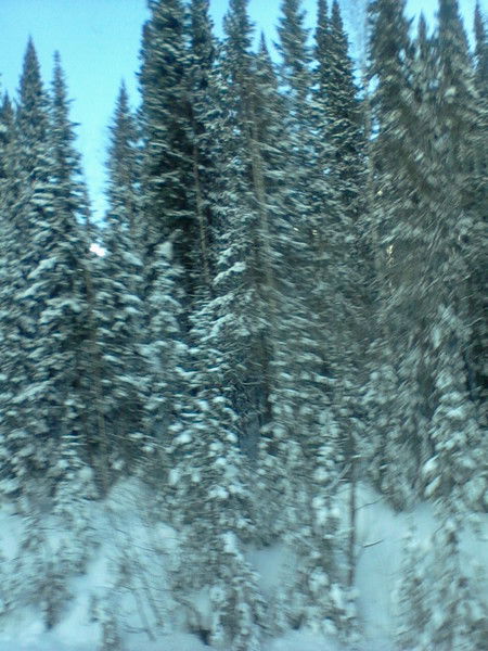 Андрюха Юрич