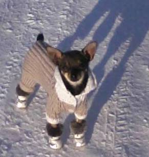 Алияшка Жапарханова