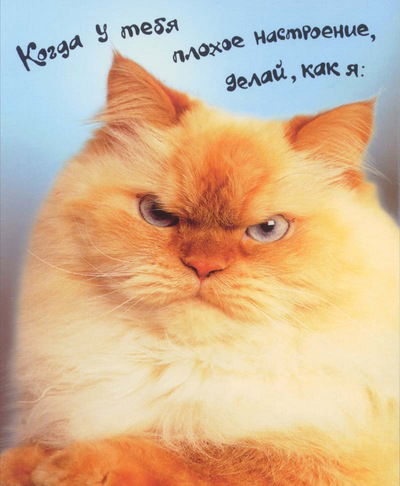 Артем Червов