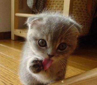 Неизвестно Неизвестно