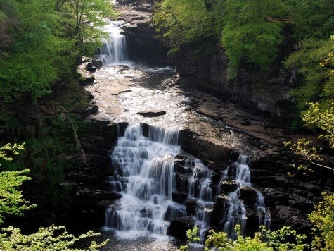 Катя Шатракова