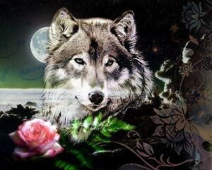 ***дерская С Макена****