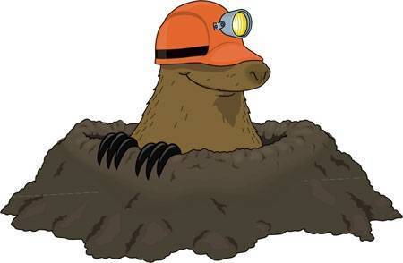 Росугбу Михаил