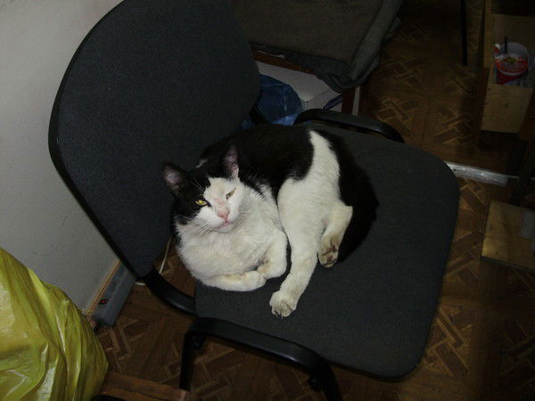 Лора Игонькина