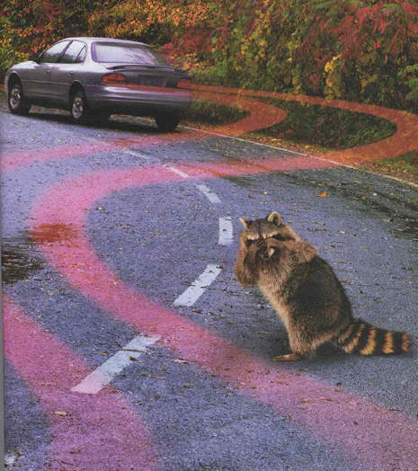 Ольга Микитина