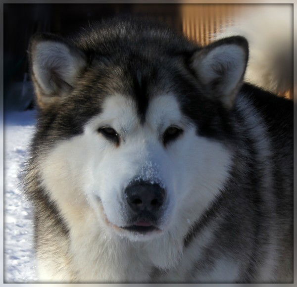 Ольга Дёмкина