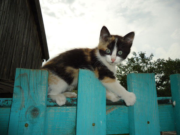 Роза Хайруллина