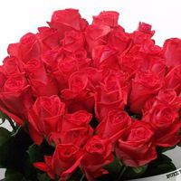 Аселек Уралбаева