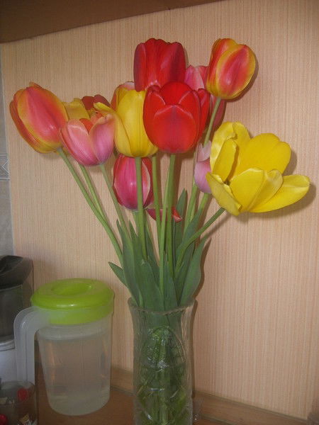 Марина Вислогузова