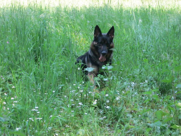 Наталья Бабенко