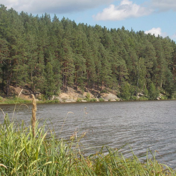 Лариса Клипикова