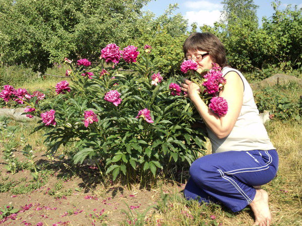 Татьяна Гортэ