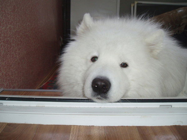 Александр Борсук