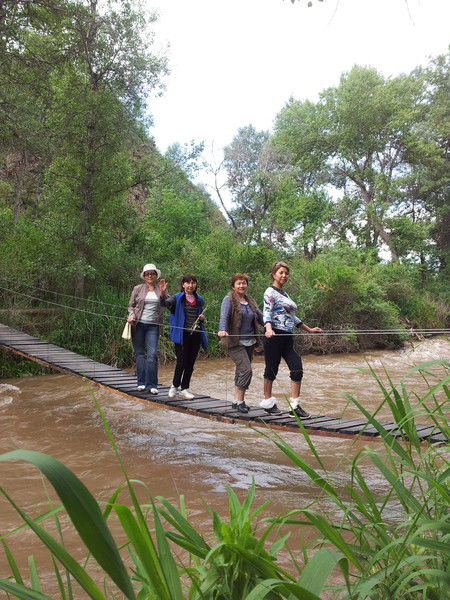 Гульнар Тельбаева