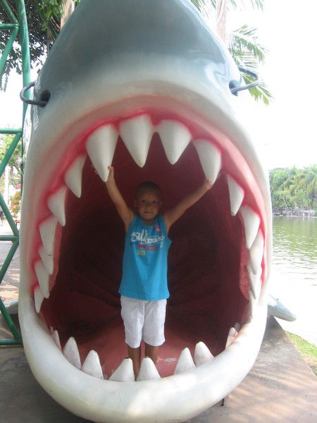 Тамирлан Токпанов