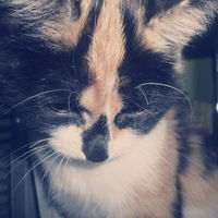 Ксения Земскова