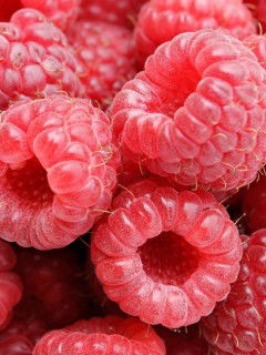 Наталия Кожухарь