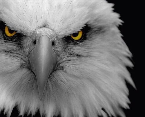 Фирдаус Тазетдинов