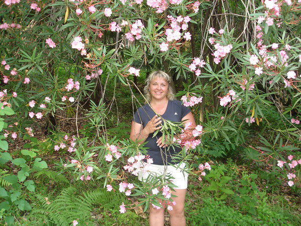 Елена Киселева