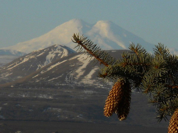 Екатерина Берлизева