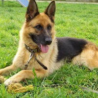 Анастасия Савелькина