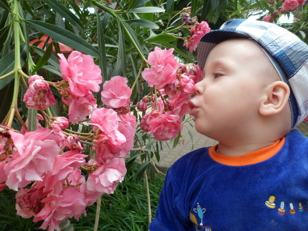 Ирина Карпенко