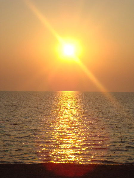 Татьяна Л-Я