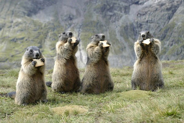 Марина Буманская