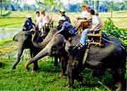 Gulmaidan Urozbayeva