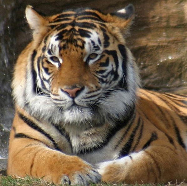 Александр Спицын