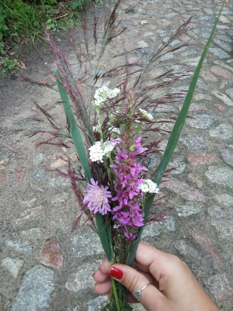 Вероника Войнилко