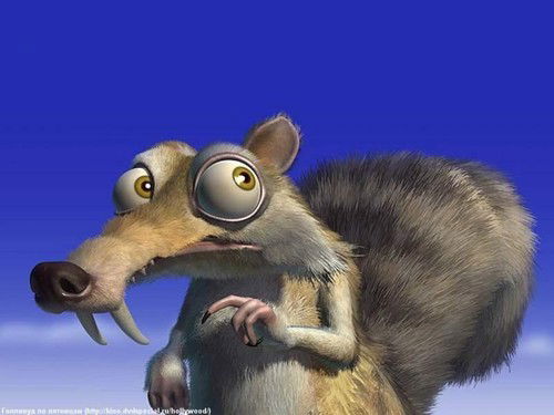 Даша Серова