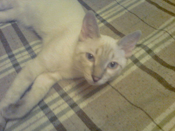 Ольга Касенюк