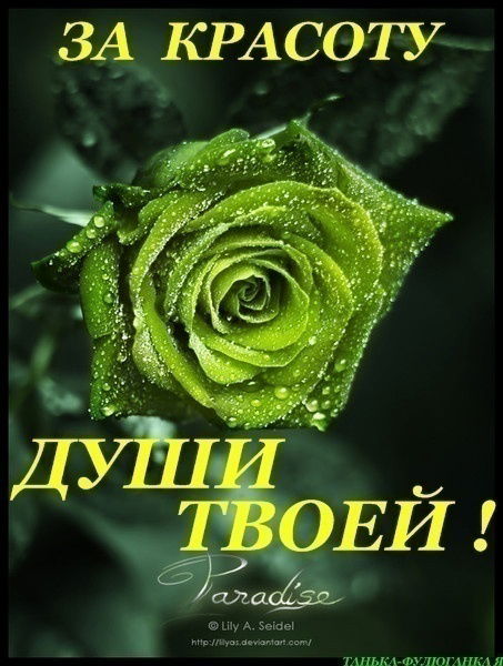 Бибигуль Батырбекова