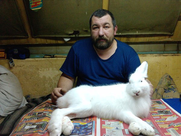 Станислав Шемякин