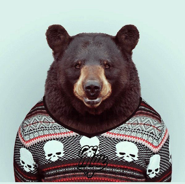 Данил Фролов