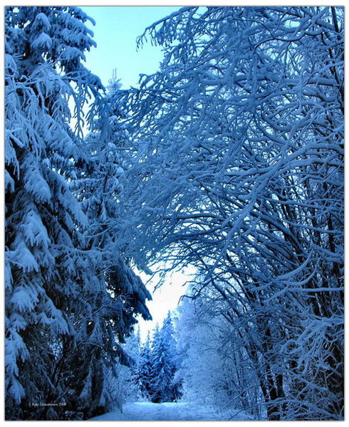 Елена Попова