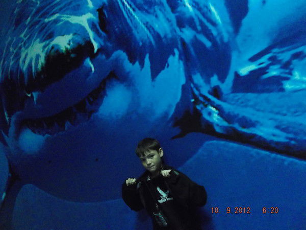 Рома Свирид