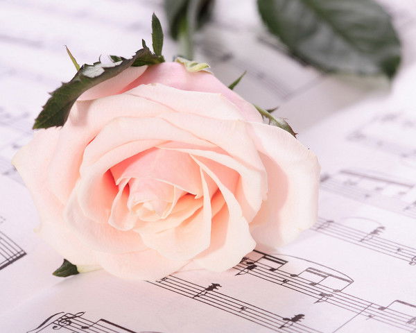 Любовь Митрофанова