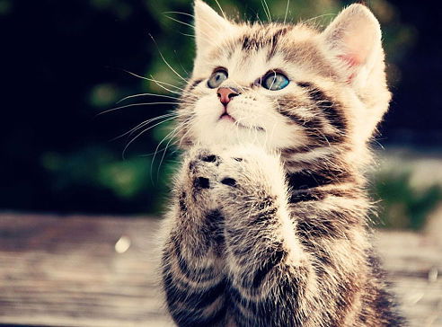 Антонина Бахышова