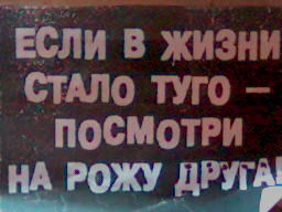 Александр Векшин