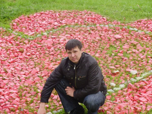 Алексей Шашков