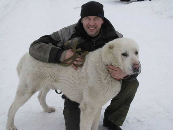 Роман Конышев